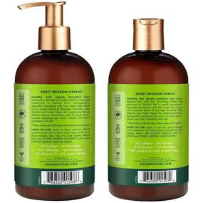 img 2 attached to Shea Moisture Moringa & Avocado Power Greens Shampoo and Conditioner Set (13oz) - Nourishing Hair Care Combo for Healthy, Stronger Hair