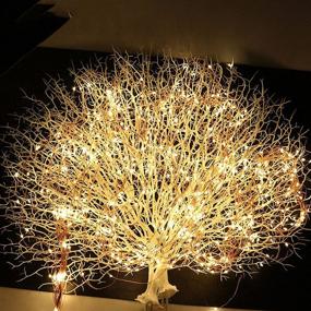 img 1 attached to 🌟 VIVII 66 FT Copper Fairy String Lights: 200 LED Warm White Waterproof USB Powered Lighting for Indoor Outdoor Party Decoration