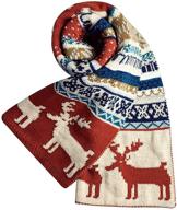 felice winter reindeer snowflake christmas women's accessories for scarves & wraps logo