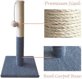 img 1 attached to 🐱 Barelove Cat Scratcher Mat: Protect Furniture and Trim Cat Claws with this Ultimate Scratch Pad