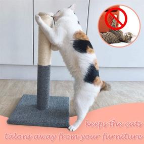 img 2 attached to 🐱 Barelove Cat Scratcher Mat: Protect Furniture and Trim Cat Claws with this Ultimate Scratch Pad