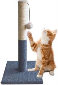 img 4 attached to 🐱 Barelove Cat Scratcher Mat: Protect Furniture and Trim Cat Claws with this Ultimate Scratch Pad