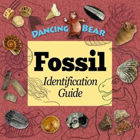 img 1 attached to Dancing Bear Collection: Explore the World of Geological Specimens