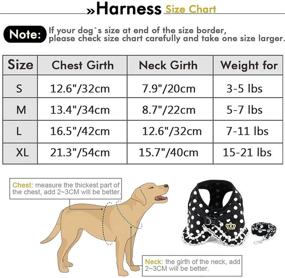 img 1 attached to 🐾 SELMAI Small Dog Dots Vest Harness Leash Set with Mesh Padding - No-Pull Lead Included (Size Run Small, Please Review Size Details Prior to Purchase)