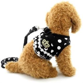 img 4 attached to 🐾 SELMAI Small Dog Dots Vest Harness Leash Set with Mesh Padding - No-Pull Lead Included (Size Run Small, Please Review Size Details Prior to Purchase)