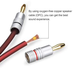 img 2 attached to 🔊 HET HONKENT HiFi OFC Кабель для акустических систем: 12 AWG, 300X2 провода в жиле, Разъем банана - Разъем банана, 5.0M(16.4ft) x2 шт.