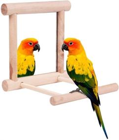 img 2 attached to 🐦 Bird Toy for Parrot Parakeets Conures Cockatiels Cage Swing Wooden Fun Play Toy for Birds - HAPPTYTOY (with Mirror)