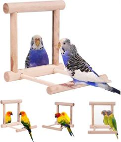 img 4 attached to 🐦 Bird Toy for Parrot Parakeets Conures Cockatiels Cage Swing Wooden Fun Play Toy for Birds - HAPPTYTOY (with Mirror)