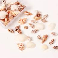 🐚 ira pollitt 200-210 pieces tiny natural mixed ocean sea shells miniature beach critter seashells variety crafts for arts & crafts, home decoration, fish tank vase fillers (pack of 4) logo