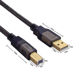img 3 attached to 🔌 ShineKee Кабель для принтера USB 2.0 высокоскоростной 10 футов с позолоченными разъемами - от мужчины к мужчине для HP, Canon, Lexmark, Epson, Dell, Xerox, Samsung и других