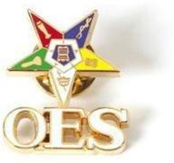 exclusive eastern star shield star with oes letters lapel pin - order of the eastern star collectible logo