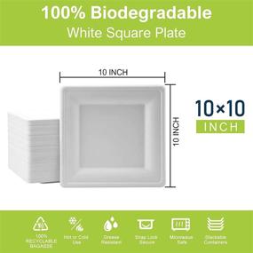img 3 attached to 🌱 BangShou 100% Natural Biodegradable Eco-Friendly Square Paper Plates, Microwaveable Disposable 10" Unbleached Bagasse Heavy-Duty Tray Plate, Large Recycled Paper Trays 30-PACK - Compostable and Sustainable
