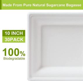 img 2 attached to 🌱 BangShou 100% Natural Biodegradable Eco-Friendly Square Paper Plates, Microwaveable Disposable 10" Unbleached Bagasse Heavy-Duty Tray Plate, Large Recycled Paper Trays 30-PACK - Compostable and Sustainable