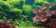 🐠 sporn static cling aquarium background - tropical design, 24" x 12": enhance your underwater experience логотип