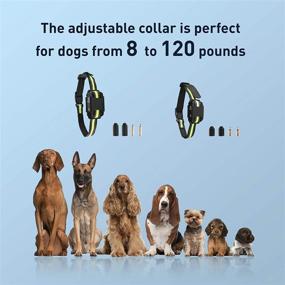 img 3 attached to 🐶 Rechargeable IP6 Waterproof Anti Barking Training Collar - PetsHub Dog Bark Collar with Adjustable Sensitivity, Intensity, Beep, and Vibration for Small, Medium, and Large Dogs