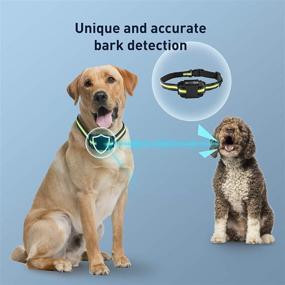 img 1 attached to 🐶 Rechargeable IP6 Waterproof Anti Barking Training Collar - PetsHub Dog Bark Collar with Adjustable Sensitivity, Intensity, Beep, and Vibration for Small, Medium, and Large Dogs