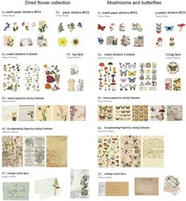 img 3 attached to 📦 180PCS Vintage Aesthetic Stickers Pack for Scrapbooking, SOYZMYX Decorative Antique Retro Natural Collection, Diary Journal Embellishment Supplies Washi Paper Sticker for Craft and Journaling