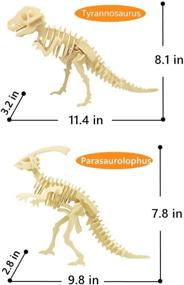 img 3 attached to 🦖 Immerse Yourself in an Enchanting Tea Experience with Cherish Tea Simulation Dinosaur Assembly