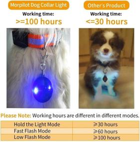 img 3 attached to 6 PCS Clip-on Dog Cat Collar Lights: Colorful Safety Lights for Night Walking with Waterproof Hands-Free 3 Flash Modes