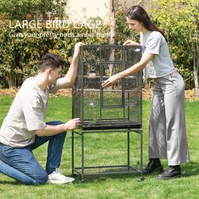 img 3 attached to 🐦 VIVOHOME 54 Inch Wrought Iron Large Bird Flight Cage: Ideal for African Grey Parrot, Cockatiel, and more!