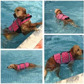 img 3 attached to 🐶 Doglay Dog Life Jacket: Reflective Stripes, Adjustable Lifesaver for Dogs | High Buoyancy Swimsuit for Small, Medium, and Large Breeds