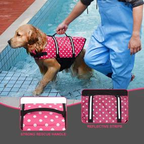 img 1 attached to 🐶 Doglay Dog Life Jacket: Reflective Stripes, Adjustable Lifesaver for Dogs | High Buoyancy Swimsuit for Small, Medium, and Large Breeds