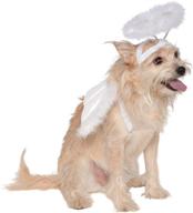 🐕✨ seo-optimized angel halo and wings costume set for pets - rubies logo