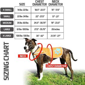 img 2 attached to SafetyPUP XD Soft-shell Waterproof Dog Vest: High-Visibility, Reflective Jacket with Cozy Fleece Lining. Perfect for Cooler Climates. Blaze Orange Fabric Safeguards Your PUP in Hunting Areas & Off-Leash Activities.