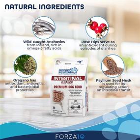 img 2 attached to 🐶 Forza10 Intestinal Active Dry Dog Food: Optimal Digestive and Intestinal Support Diet for Adult Dog Breeds, Medium to Mini Sizes