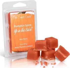 img 2 attached to The Candle Daddy - Pumpkin Spice up in This Bitch Halloween 🎃 Scented Wax Melts 2 oz - 6 Cubes, Maximum Scent, Flameless Candle Ambience