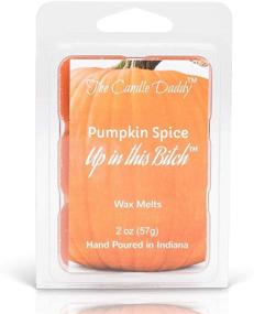 img 3 attached to The Candle Daddy - Pumpkin Spice up in This Bitch Halloween 🎃 Scented Wax Melts 2 oz - 6 Cubes, Maximum Scent, Flameless Candle Ambience