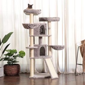 img 2 attached to 🐱 Premium Multi-Level Cat Tree Condo Furniture – XL Size with Sisal-Covered Scratching Posts, 2 Spacious Plush Condos, 2 Cozy Perch Hammocks, Smoky Gray color – Model MPJ031G