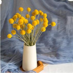 img 2 attached to 🌼 Yellow Billy Balls Dried Flowers - 40 Stems for DIY Flower Arrangements & Home Decor - 0.4-0.6inch Diameter Balls Bouquet Bundles - Dried Craspedia, Billy Buttons Yellow Balls Bouquet Bundles