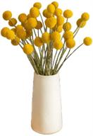 🌼 yellow billy balls dried flowers - 40 stems for diy flower arrangements & home decor - 0.4-0.6inch diameter balls bouquet bundles - dried craspedia, billy buttons yellow balls bouquet bundles logo