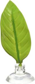 img 1 attached to 🍃 Betta Bed Leaf Hammock by Zoo Med