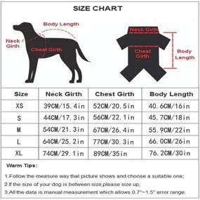 img 3 attached to 🐾 Stay Stylish and Safe: Petilleur Dog Jacket with Harness for Medium and Large Dogs (L, Red)