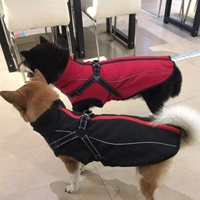 img 2 attached to 🐾 Stay Stylish and Safe: Petilleur Dog Jacket with Harness for Medium and Large Dogs (L, Red)