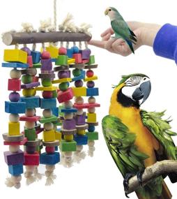img 3 attached to Deloky Large Bird Parrot Chewing Toy - Multicolored Wooden Blocks for Large Macaws, Cockatoos, African Grey, and Amazon Parrots - All-Natural Parrot Tearing Toys