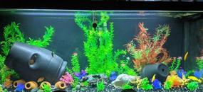 img 2 attached to 🌿 Enhanced Aquatic Environment with Supyouleg Decorative Aquarium Plants