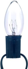 img 1 attached to Vickerman C9 Intermediate Clear Christmas Light Bulbs (25 pack) - V472131