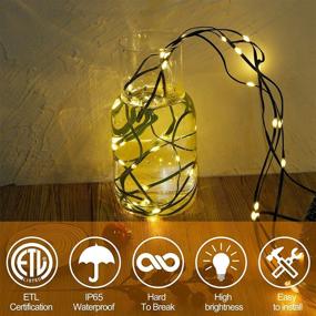 img 2 attached to WATERGLIDE Extra Long 328 ft Fairy String Lights, 1000 LED Outdoor Christmas Lights, Green PVC Copper Wire Lights, 8 Modes & Waterproof for Xmas Tree Holiday Wedding Party Decor, Warm White - Enhanced SEO