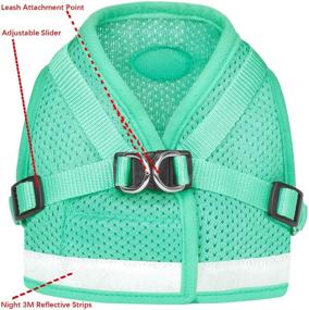 img 2 attached to 🐾 Pet Harness Set with Leashes - Escape Proof & Reflective Cat and Puppy Harness, Adjustable Soft Mesh Vest for Outdoor Activities - Suitable for Kittens, Puppies, Rabbits, and Ferrets