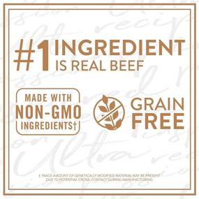 img 1 attached to 🐶 Nutro Ultra Grain Free Filets in Gravy: Premium Wet Dog Food