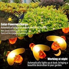 img 2 attached to 🐝 AOPMET Solar Bee String Lights: 30 LED Fairy Lights for Outdoor Garden Decor - 2-Pack