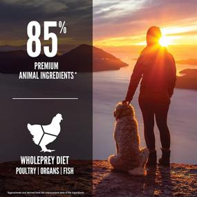 img 1 attached to 🐶 ORIJEN Senior Dry Dog Food: Grain-Free, High Protein, Fresh and Raw Animal Ingredients for Optimal Aging
