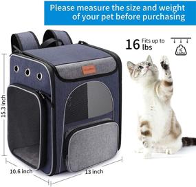 img 2 attached to Morpilot Dog Backpack: Foldable Cat Backpack Carrier with Safety Leash and Folding Dog Bowl – Perfect for Hiking, Traveling, and Outdoor Adventures