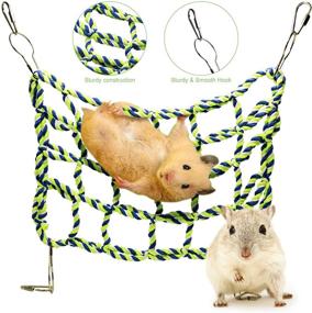 img 1 attached to 🐹 Roundler Hamster Climbing Net: Set of 2 Ferret Cotton Rope Nets - Small Animal Activity Toy for Hamster, Ferret, Rat, Guinea Pig, Chinchilla, Cockatiel, Parakeet - Hanging Hammock Cage Accessories for Play