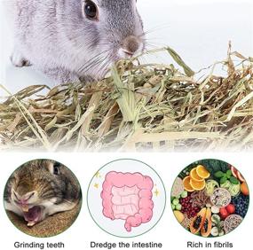 img 2 attached to 🐰 Anyuxin Rabbit Grass Mat - Woven Bed Mat for Small Animals | Bunny Bedding, Nature Straw Mat for Pet Nesting, Hay Chewing Play Toy | Guinea Pig, Hamster, Squirrel (3 Pack)