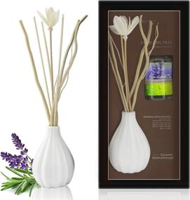 img 4 attached to ap airpleasure Reed Diffuser Set: Lavender Scented Home Fragrance, 🏵️ Decorative Ceramic Bottle with Aromatherapy Oil, Dried Flower Accent - 150ml