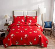 🎅 ferdilan 3-piece christmas queen bedspread: santa claus luck bag reversible quilt set - all season breathable bedding with 1 quilt & 2 shams logo